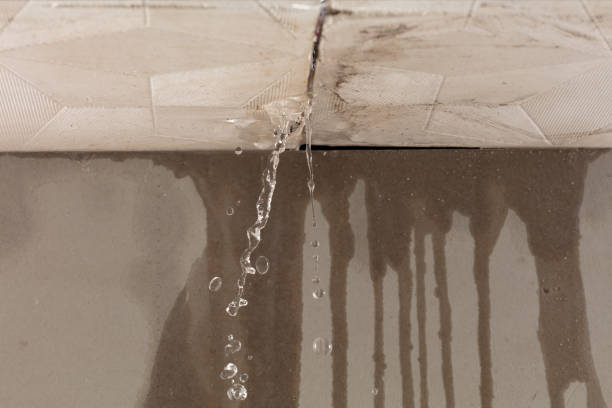 Professional Structural Drying technician working in Melvin, MI